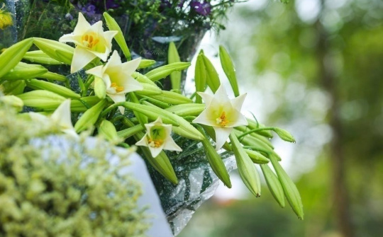 Thời tiết hôm nay ngày 12/4/2024: Hà Nội hửng nắng, Đà Nẵng và TP. Hồ Chí Minh nắng nóng