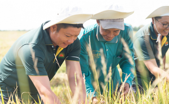 Tập đoàn Lộc Trời doanh nghiệp đầu tiên tạo được tín chỉ carbon cho cây lúa tại Việt Nam