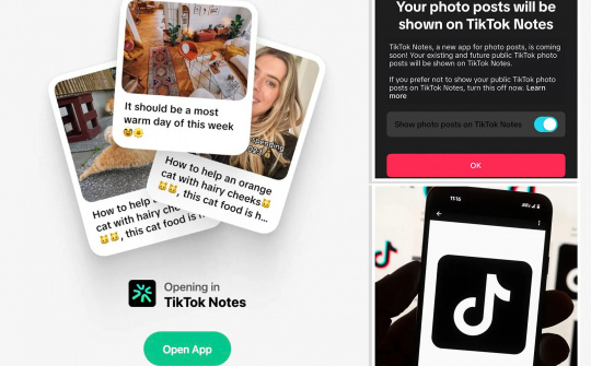 Nền tảng TikTok lấn sân sang lĩnh vực chia sẻ ảnh với Notes