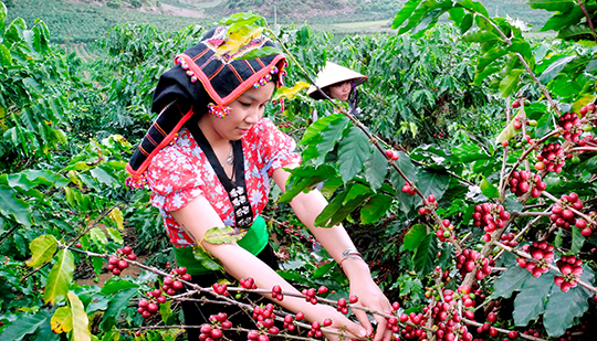 Triển khai cơ chế đặc thù, đẩy nhanh tiến độ các chương trình mục tiêu quốc gia