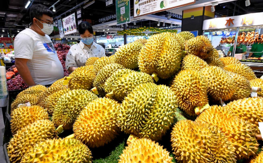 Tự tin hết lỗ luỹ kế trong năm nay, con gái Bầu Đức muốn mua thêm 2 triệu cổ phiếu HAG