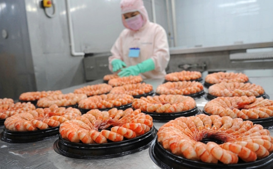 Thực phẩm Sao Ta (FMC): Sẵn sàng đương đầu với vụ kiện chống trợ cấp từ Hoa Kỳ