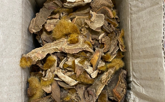 Quảng Ninh: Bắt giữ 21 tấn dược liệu không rõ nguồn gốc, xuất xứ