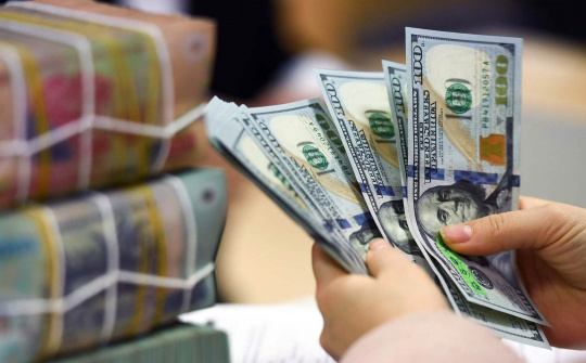 Ngân hàng Nhà nước: Ổn định chứ không cố định tỷ giá