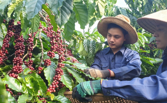 Đẩy mạnh xúc tiến xuất khẩu sản phẩm cà phê và gia vị Việt Nam