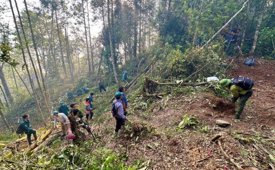 Chủ động phòng cháy, chữa cháy rừng, giảm thiểu thấp nhất thiệt hại do cháy rừng gây ra