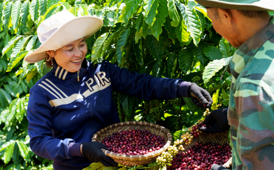 Nestlé Việt Nam cùng đối tác thúc đẩy sáng kiến giảm phát thải trong chuỗi cung ứng