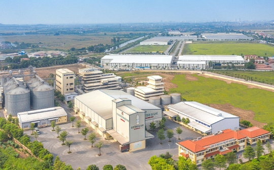 Tập đoàn Dabaco (DBC): Muốn huy động nghìn tỷ làm nhà máy dầu thực vật