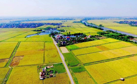 Quyền sử dụng đất của tổ chức kinh tế theo Luật Đất đai 2013 tại Thành phố Hồ Chí Minh