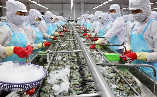 Giảm chi phí logistics, nâng cao sức cạnh tranh cho hàng Việt tại thị trường Brazil