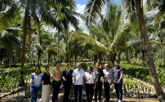 Nhiều sản phẩm dừa Việt Nam có tiềm năng thâm nhập thị trường Philippines