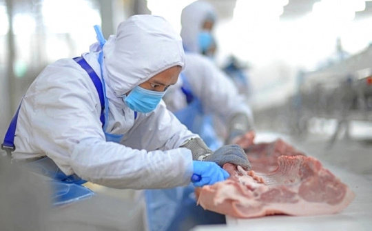 Giá heo hơi hồi phục, BAF Việt Nam (BAF) báo lãi tăng gấp 38 lần