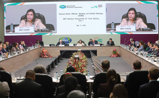 Hội nghị Bộ trưởng Thương mại APEC lần thứ 30: Ưu tiên tạo thuận lợi cho thương mại điện tử và thương mại số