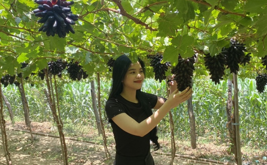 Trái ngọt trên vùng “đất khát”