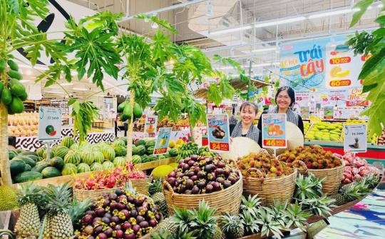 Tiền Giang lần đầu tiên tổ chức Lễ hội trái cây cấp vùng "Cảm xúc miền nhiệt đới"