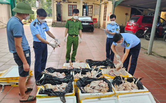 Thái Nguyên: Tiêu hủy gần 200kg thịt gà không đảm bảo an toàn thực phẩm