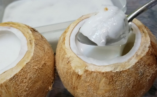 Facile fabrication and structural characterization of bacterial cellulose aerogels from commercial nata de coco