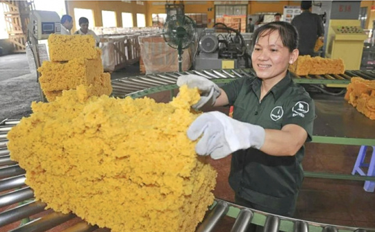 Hưởng lợi từ giá cao su neo cao, Cao Su Đồng Phú (DPR) chờ thêm “tin vui” từ mảng khu công nghiệp