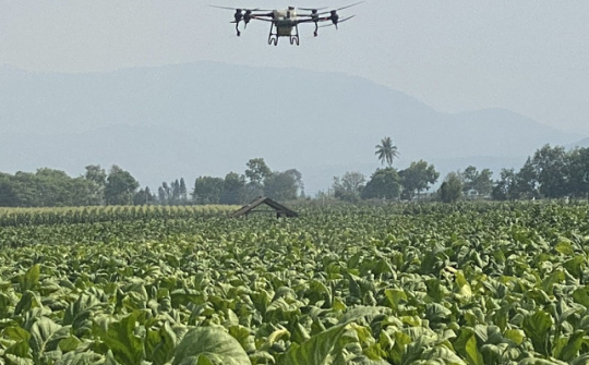 Ðầu tư phát triển bền vững vùng nguyên liệu thuốc lá tại Gia Lai