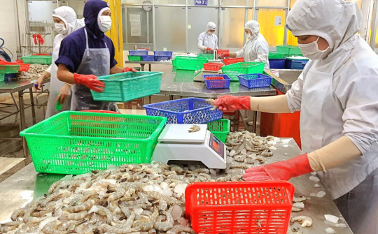 Thực phẩm Sao ta (FMC): Xuất khẩu tôm duy trì đà tăng trưởng, doanh số tháng 4 tăng 17%