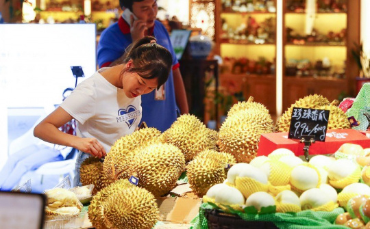Nhu cầu tăng mạnh, sầu riêng Việt Nam tiếp tục thắng lớn tại Trung Quốc
