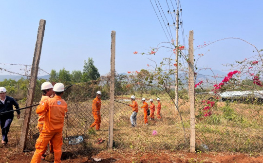 Thủy điện An Khê – Ka Nak nhiều giải pháp đảm bảo an toàn tuyến đường dây 22 kV