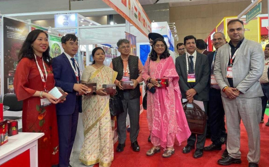 Hỗ trợ quảng bá, giới thiệu sản phẩm Việt Nam tại thị trường Ấn Độ