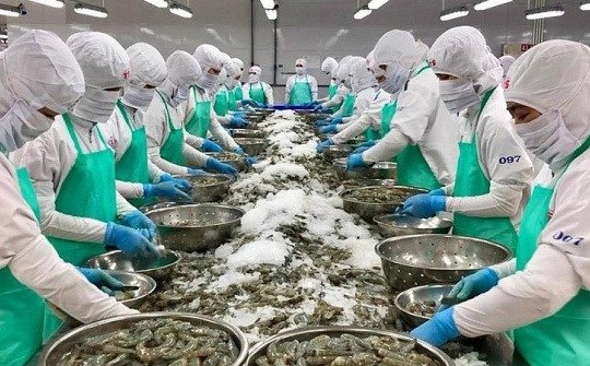 Xuất khẩu thủy sản 5 tháng: Hoa Kỳ dẫn đầu về tốc độ tăng trưởng