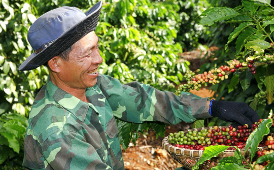 Nhu cầu NPK tháng 6/2024 ước tăng gấp 3 lần, Đạm Cà Mau (DCM) tập trung gia tăng thị phần