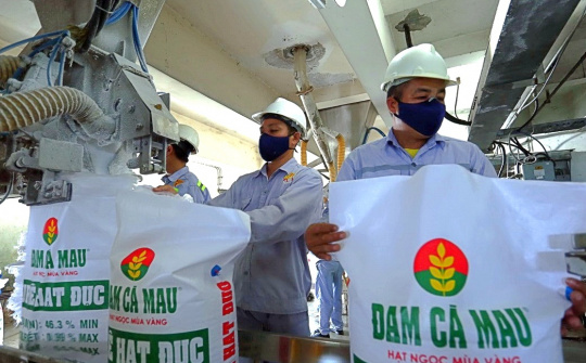 Đạm Cà Mau (DCM) “thận trọng” đặt mục tiêu kinh doanh năm nay, dự chia cổ tức tỷ lệ 20%