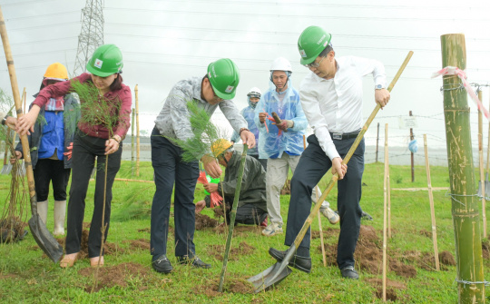 Petrovietnam: Trồng cây xanh là giải pháp quan trọng trong chuyển dịch năng lượng