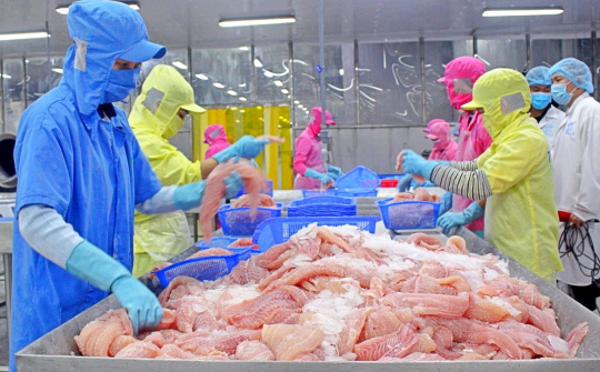 Xuất khẩu cá tra “sáng cửa” nửa cuối năm nay