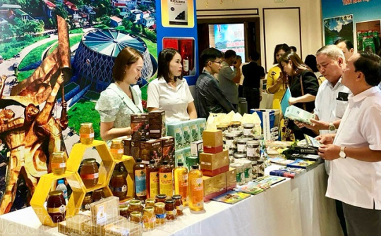 Điện Biên: Hoạt động thương mại dịch vụ tăng trưởng ấn tượng