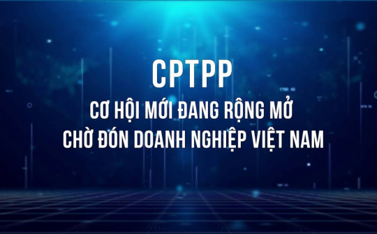 [VIDEO] CPTPP: Cơ hội mới đang rộng mở chờ đón doanh nghiệp Việt Nam