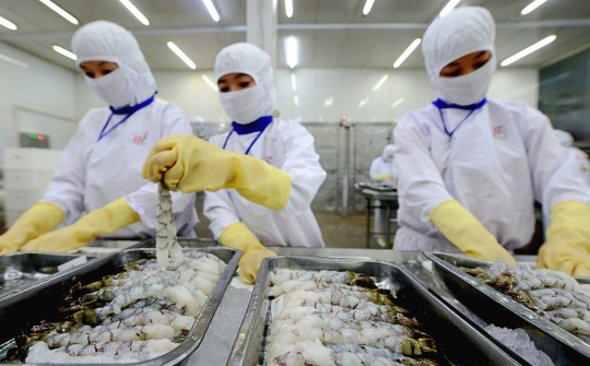 Thực phẩm Sao Ta (FMC) hé lộ chiến lược đối phó vụ kiện chống trợ cấp, chống bán phá giá từ Hoa Kỳ