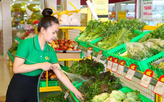 Nhiều cửa hàng đã tới ngưỡng tăng trưởng, Bách Hoá Xanh quay sang mở rộng quy mô