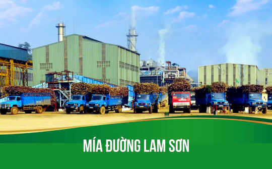 Lo ngại giá đường giảm, Mía đường Lam Sơn (LSS) thận trọng lập mục tiêu kinh doanh