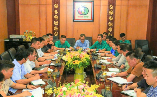 Thử nghiệm thành công vaccine ASF, Tập đoàn Dabaco (DBC) sẽ sản xuất thương mại trong quý 4