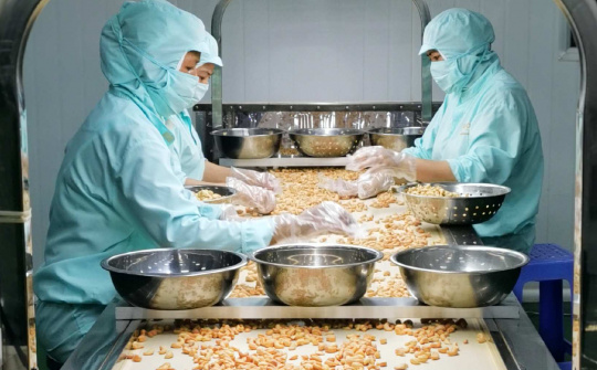 Tập đoàn PAN lần đầu báo lãi nghìn tỷ, kỳ vọng xuất khẩu tăng tốc trong năm 2025