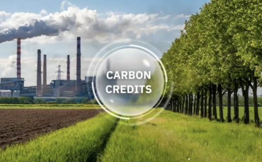 Năm 2029, chính thức vận hành thị trường carbon tại Việt Nam
