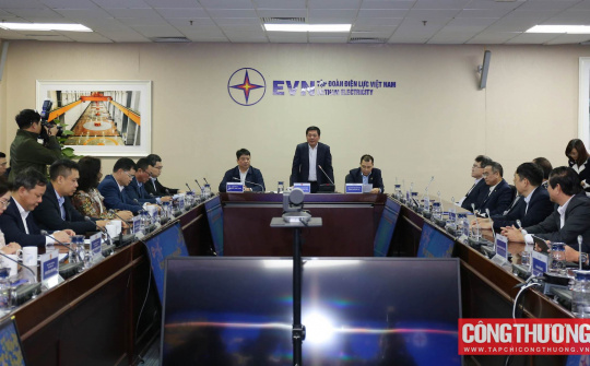 EVN sẵn sàng đảm bảo cung cấp điện an toàn, ổn định, liên tục dịp Tết Ất Tỵ 2025