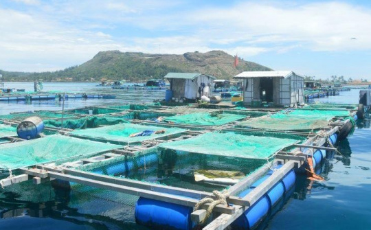 Đề xuất chính sách hỗ trợ chuyển đổi nghề cho ngư dân ven bờ ở TP. Nha Trang