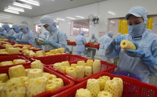 Tác động của tín dụng thương mại đến khả năng sinh lời của các công ty ngành thực phẩm niêm yết trên thị trường chứng khoán tại Việt Nam