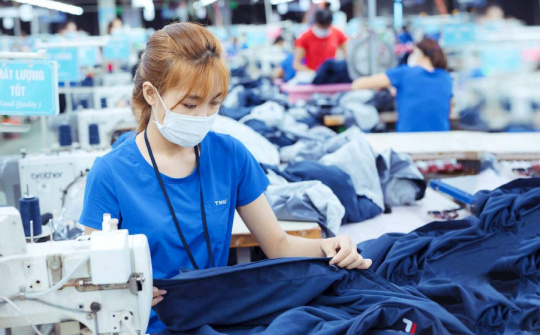 Điều gì giúp Dệt may TNG đạt mức lãi cao kỷ lục trong năm 2024?