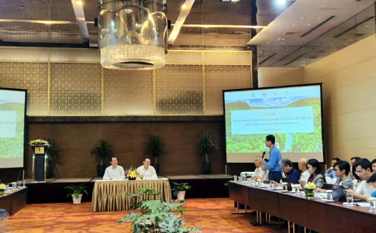 Cần có chính sách thúc đẩy dùng viên nén gỗ trong chuyển đổi nhiên liệu nồi hơi để giảm phát thải