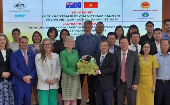 Trái bưởi Việt Nam chính thức được xuất khẩu vào thị trường Australia