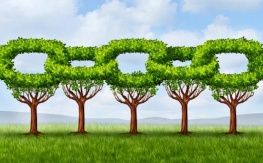 Quản trị xanh trong chuỗi cung ứng góp phần nâng cao năng lực cạnh tranh của doanh nghiệp