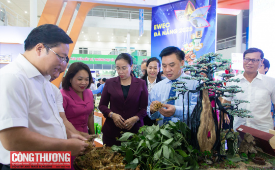 Đà Nẵng lấy ý kiến đối với Dự thảo Nghị quyết mới về hỗ trợ xúc tiến thương mại