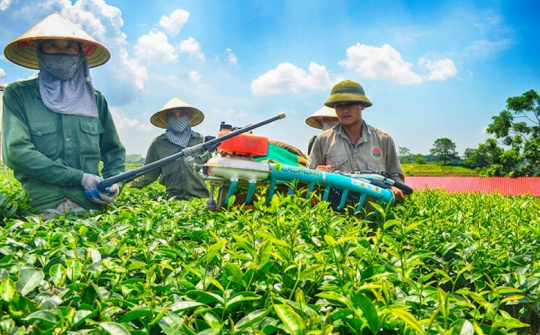 Ban hành Quy chế hoạt động của Ban Chỉ đạo quốc gia về kinh tế tập thể