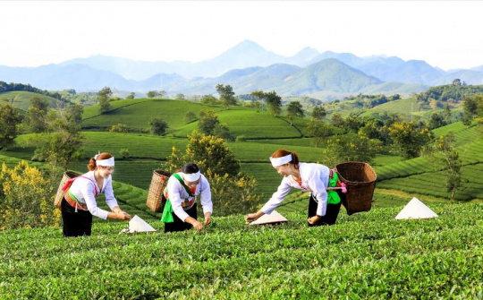 Tích hợp 3 chương trình mục tiêu quốc gia, tránh chồng chéo